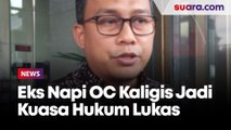 Mantan Napi Koruptor OC Kaligis jadi Kuasa Hukum Lukas Enembe, KPK: Kami Harap Tersangka Jadi Kooperatif!