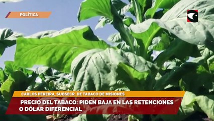 Precio del tabaco piden baja en las retenciones o dólar diferencial