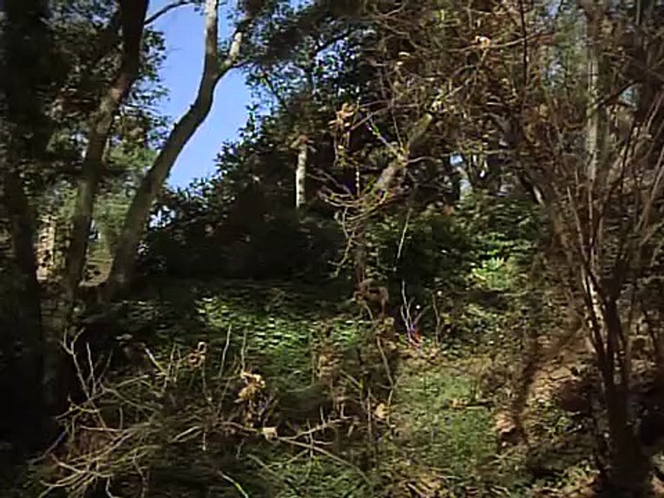 Ellery Queen - Se1 - Ep14 HD Watch