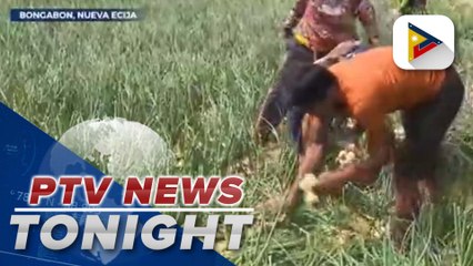 DA officials visit Nueva Ecija to check situation of onion farmers