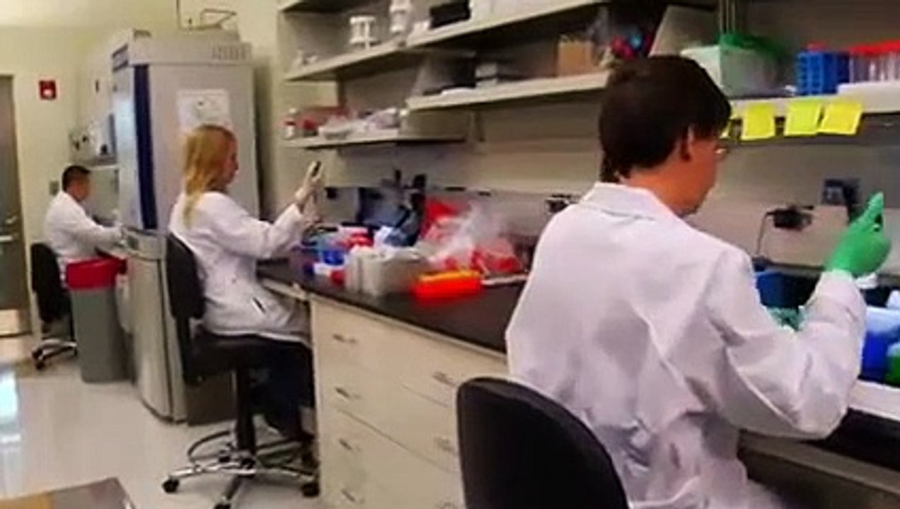 Escape the Night - Se2 - Ep06 - Endless Winter Night HD Watch