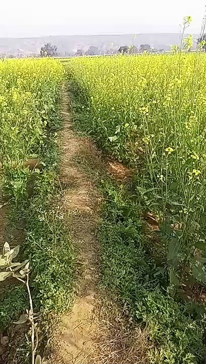 VID_20230119_155850