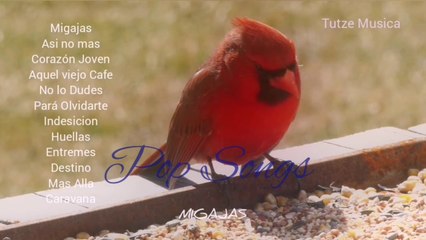 MIGAJAS. Pop Songs. TUTZE MUSICA.