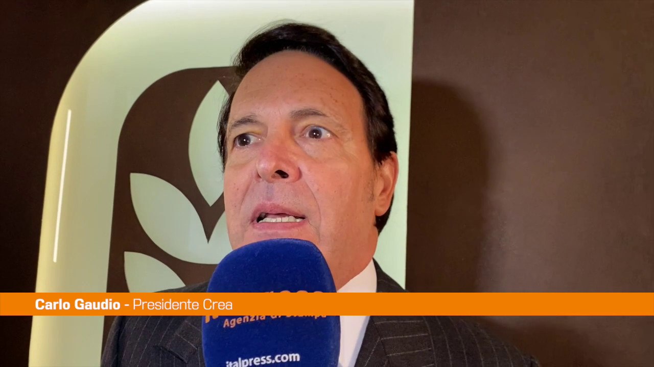 Gaudio "Il verde urbano è un investimento per la salute"