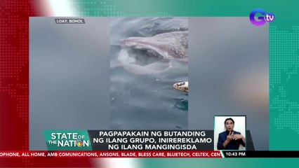 Download Video: Pagpapakain ng butanding ng ilang grupo, inirereklamo ng ilang mangingisda | SONA