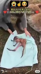 Humanity is still alive