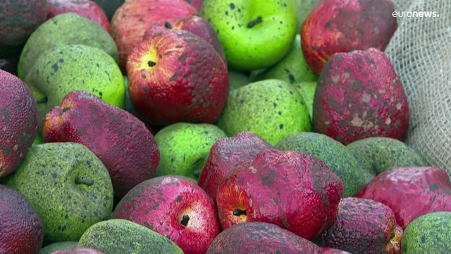 Protesto com mais de mil maçãs podres frente à New Scotland Yard em Londres