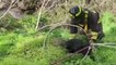 Crotone, Vigili del Fuoco salvano un cane scivolato in dirupo (20.01.23)