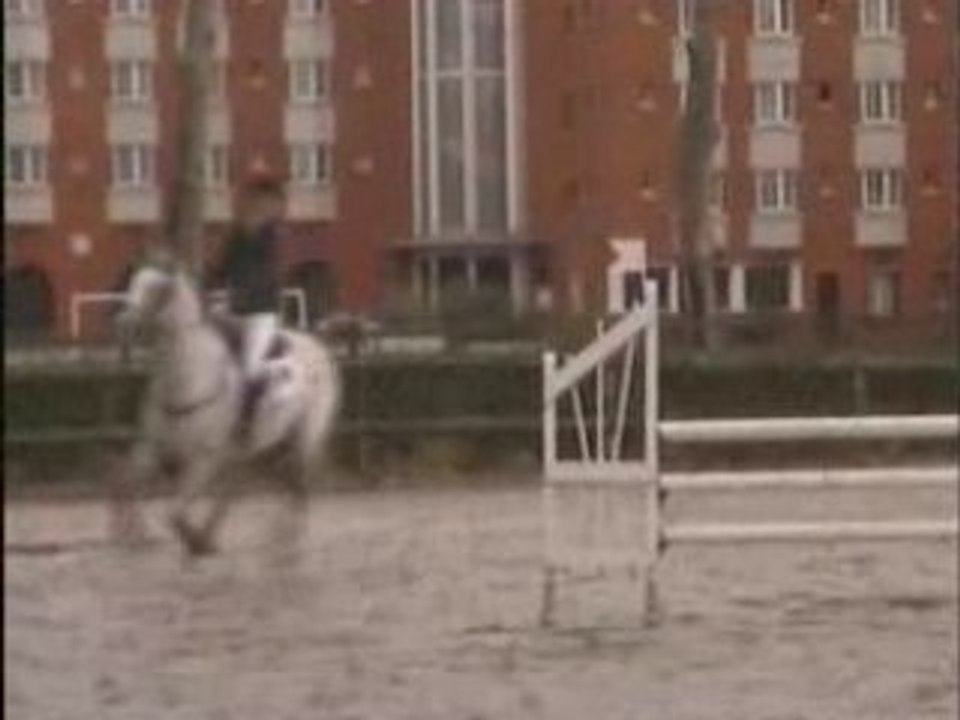 Cloé & Misti CSO CL1 Sheva 16/03/2008