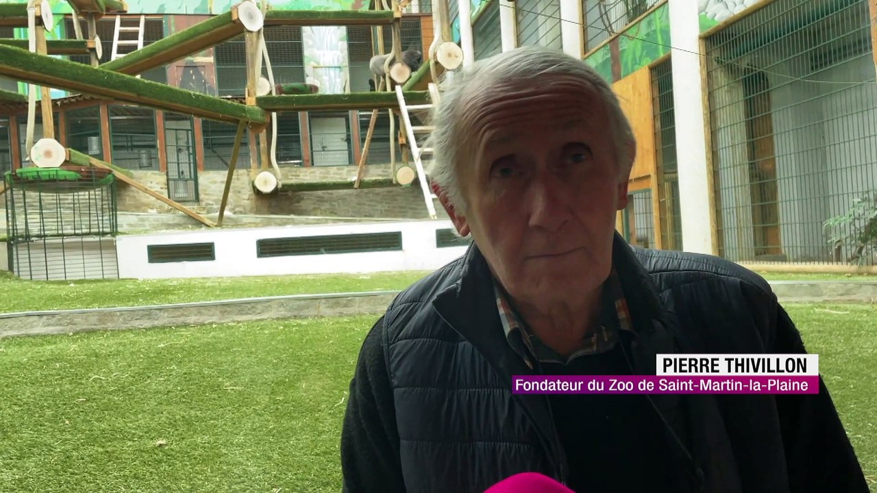 Les animaux du zoo de Saint-Martin-la-Plaine sont sous la neige