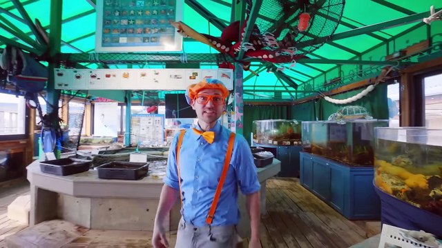 Aprende sobre Animales Acuáticos con Blippi | Aprende con blippi | Videos educativos para niños
