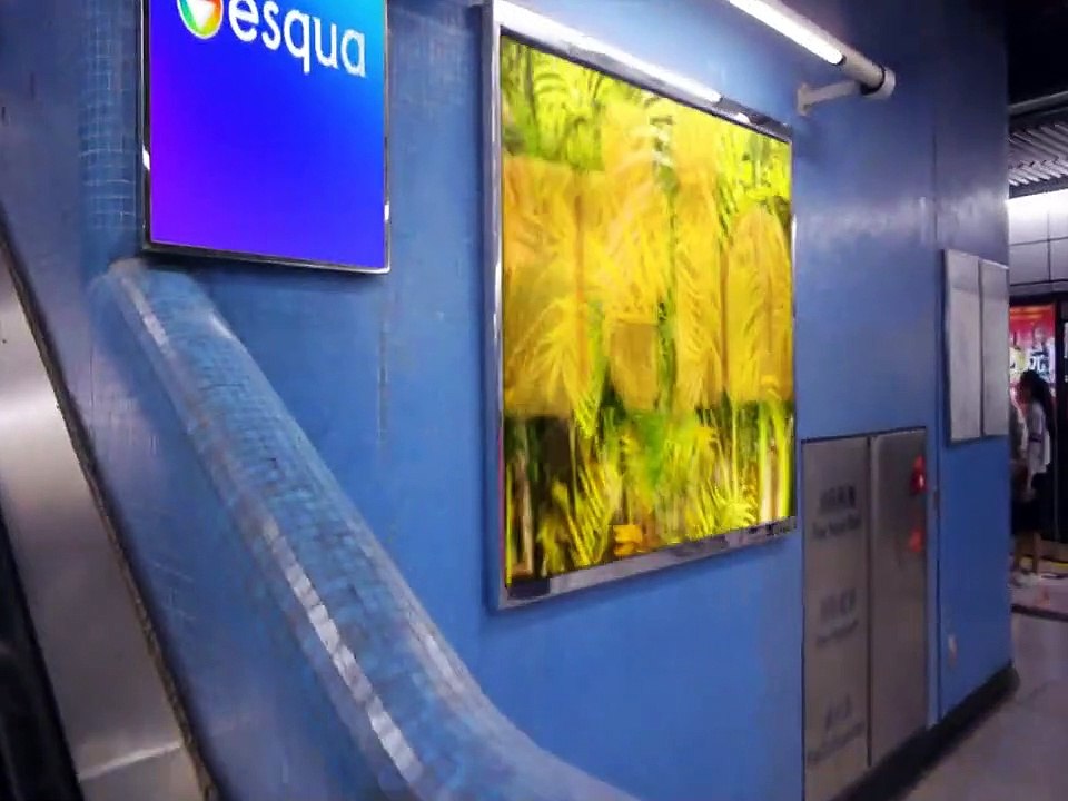 esqua 2023 - pode chegar - Vídeo Dailymotion