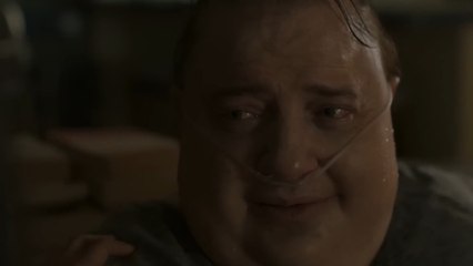 Cinema guide: Fraser marks his comeback with Oscar nods for film, The Whale