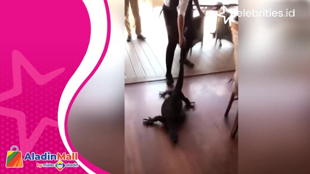 Keren dan Pemberani, Perempuan Ini Seret Keluar Kadal Raksasa