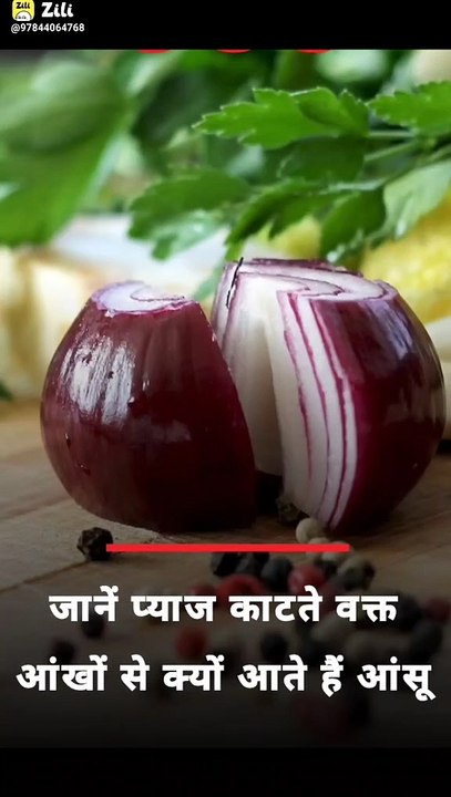  onion