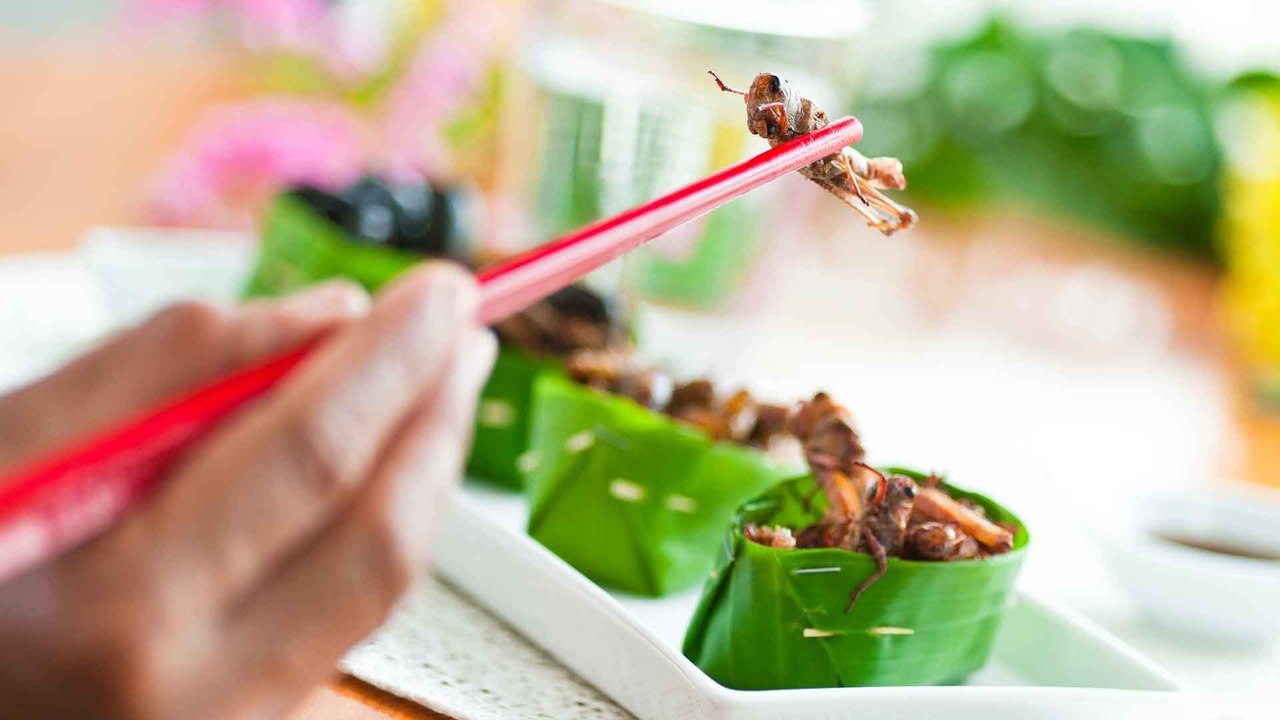 Superfood Insekten: Sind die Krabbeltiere unbedenklich?