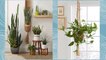 How Houseplants Can Help You Fight the Winter Blues