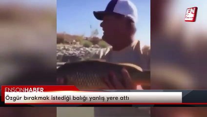 Özgür bırakmak istediği balığı yanlış yere attı