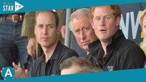 Harry, William et Charles en pleine tempête, le sort s'acharne : père et fils face à un deuil inatte