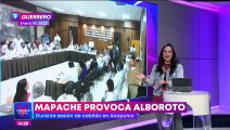 VIDEO: Mapache cae en plena sesión de cabildo en Acapulco