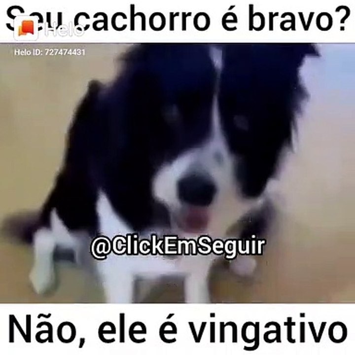 Status #779