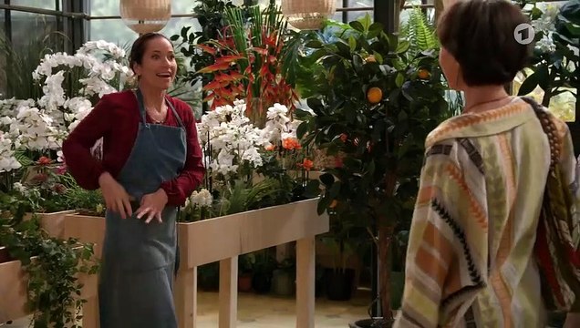 Rote Rosen Folge 3701