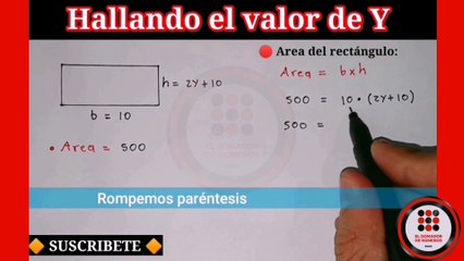 Cómo Encontrar el Valor de 'Y' en un Rectángulo 📝