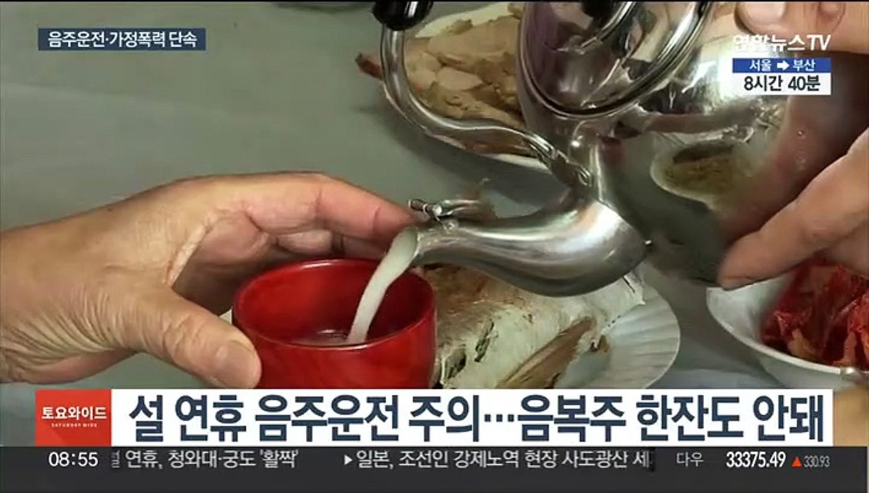 명절 "딱 한잔도 안돼요"…음주운전 집중 단속