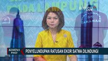 Polda Lampung Tangkap 2 Pelaku Penyelundupan Ratusan Ekor Satwa Dilindungi