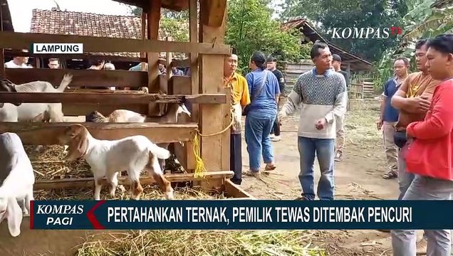 Seorang Warga di Lampung Utara Tewas Ditembak Pencuri saat Pertahankan Ternak!