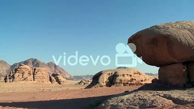 Rangila Rajasthan 0786