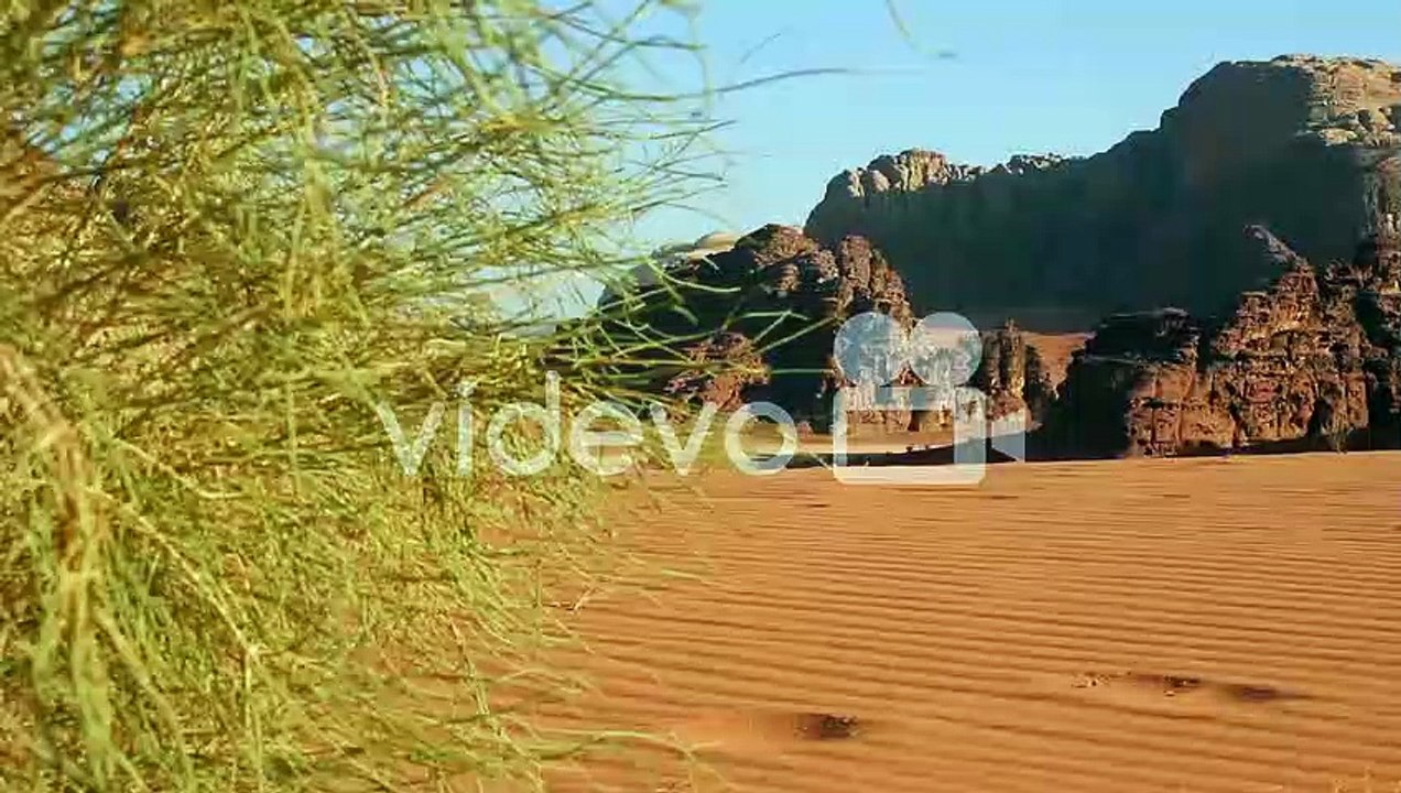 Rangila Rajasthan 0786