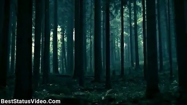 Rangila Rajasthan 0786