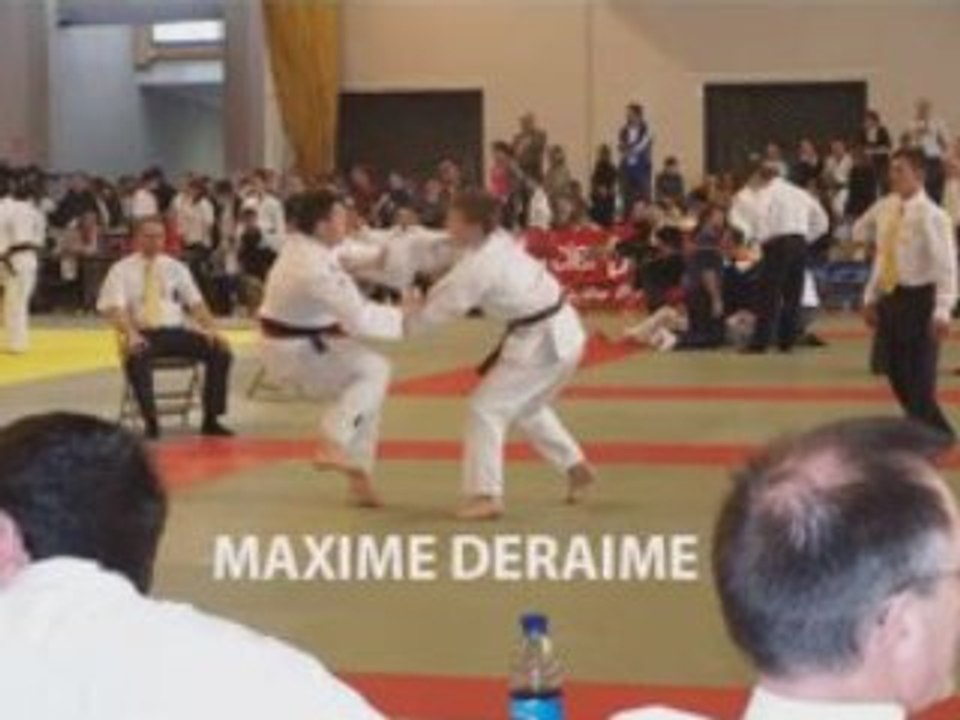 zone judo 2008 st dié des vosges