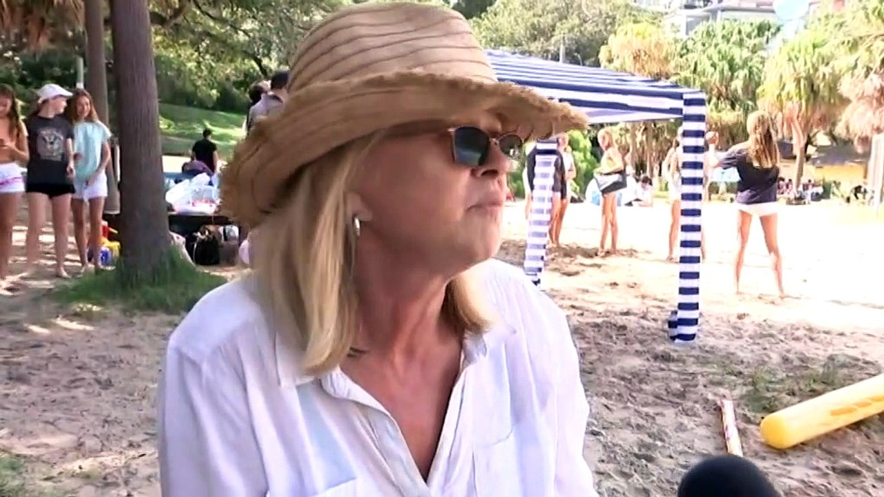 Beaches on Sydney's northern beaches after a shark fatally mauls dolphins