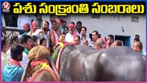 Pashu Sankranthi Celebrations At Narsingh _ Rangareddy _ V6 News