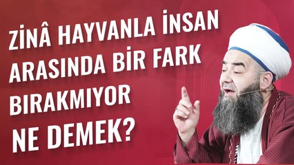 Zinâ Hayvanla İnsan Arasında Bir Fark Bırakmıyor Ne Demek?