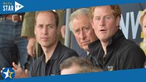 Harry, William et Charles en pleine tempête, le sort s'acharne : père et fils face à un deuil inatte
