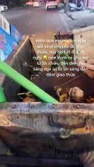 Thương mẹ ốm, con gái phụ mẹ đẩy xe, gom rác đường phố đến giao thừa