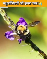 km_20230117-1_1080p_60f_20230117_145627