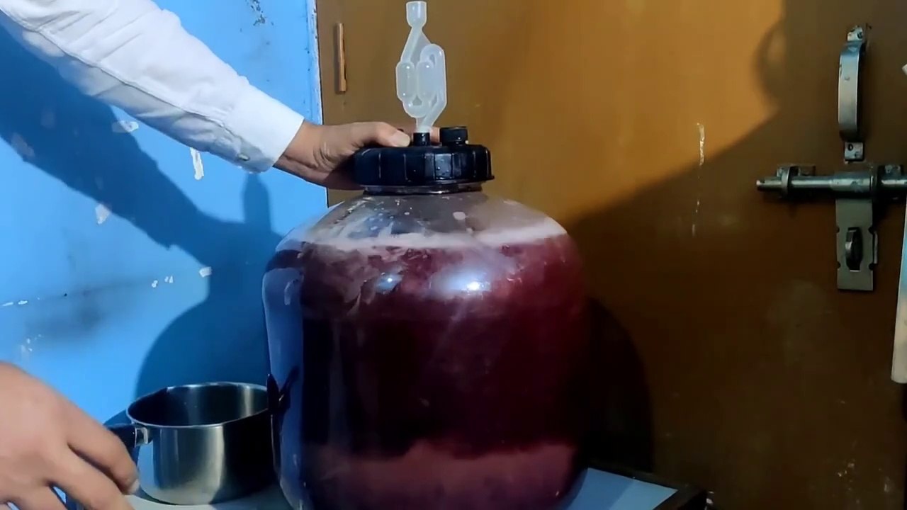 Black Grape Wine Easy Recipe _ How To Make Black Grape Wine At Home _ Red Wine Recipe (1
