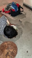 Kitten Rescued and Reunited with Mom