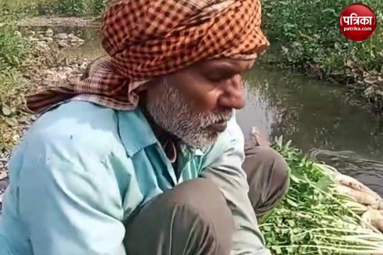वीडियो: नाले के पानी से किसान धो रहा मूली, पकड़े जाने पर कहा- अब साफ पानी से धुलेंगे