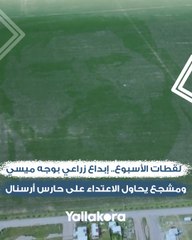 لقطات الأسبوع.. إبداع زراعي بوجه ميسي.. ومشجع يحاول الاعتداء على حارس أرسنال