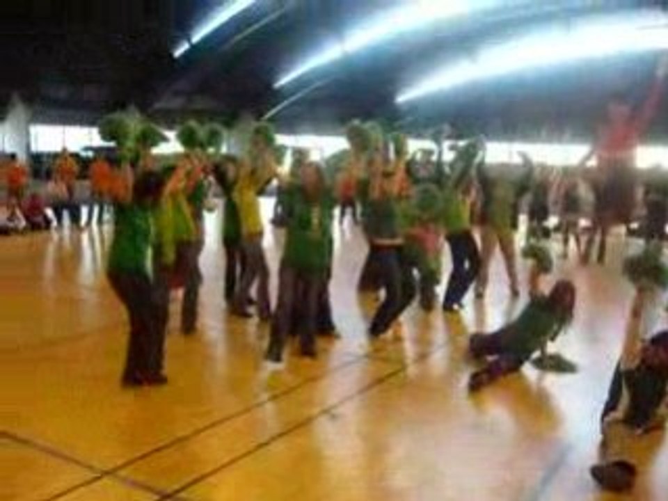 Les PomPoms Polytech Nicoises