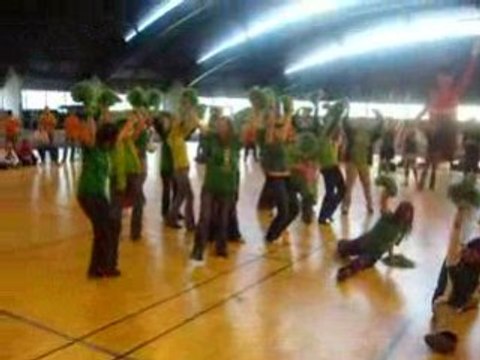 Les PomPoms Polytech Nicoises