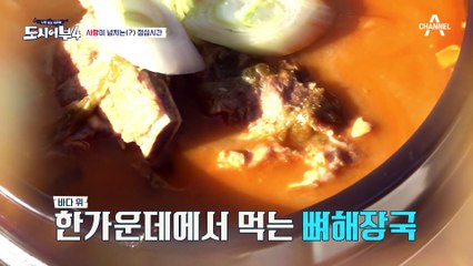 히트맨..경규 후배였어? 울진 앞바다에서 펼쳐지는 둘의 격정 로맨스♥