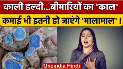 Ayurveda के मुताबिक Black Turmeric में छिपे हैं कई राज, कई बीमारियों का है काल | वनइंडिया हिंदी