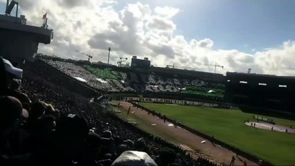 تيفو جمهور الرجاء امام الجيش الملكي