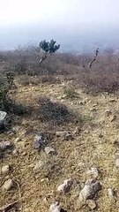 rangila#shorts videos vairal views: